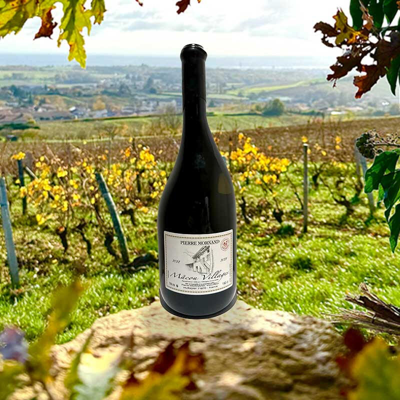 Magnum Mâcon-Villages