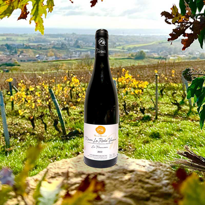 Mâcon la roche vineuse "En flamusson"